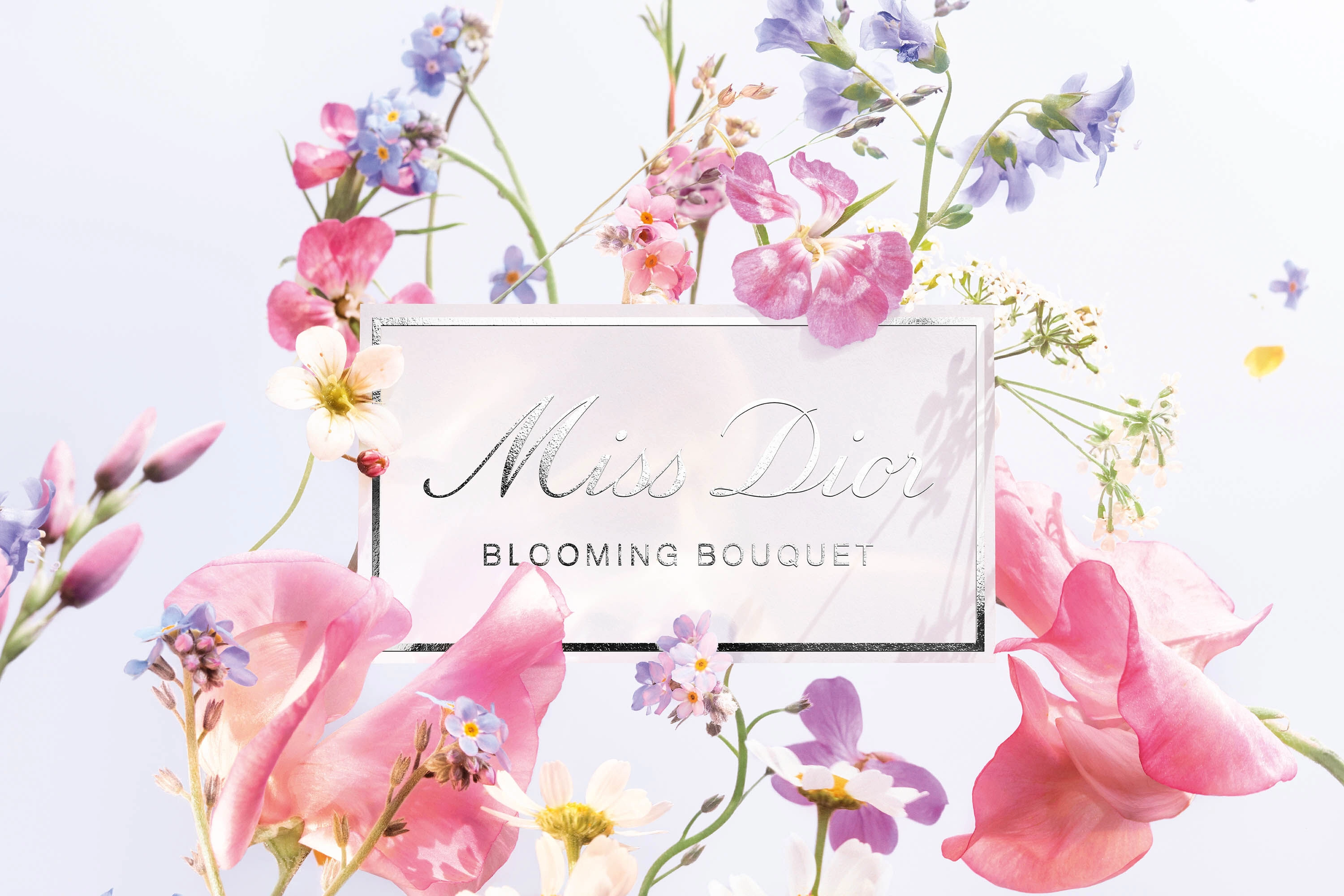 Miss Dior Blooming Bouquet Eau de Toilette 50ml