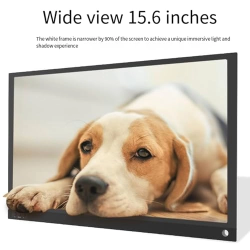 Portable Monitor - 15.6 inch 1920*1080