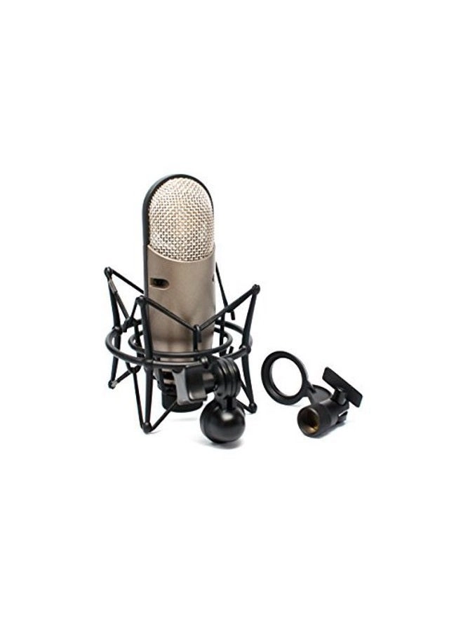 M179 XLR Microphone