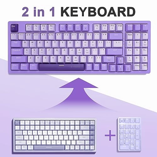 Z-94 - Wired/Wireless