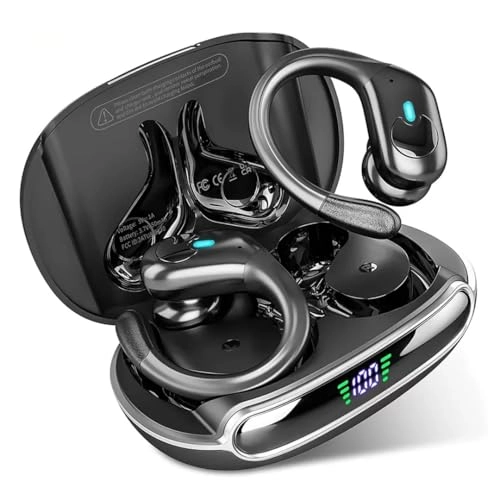 2000 series SHB2505BK/00 Wireless Earbud
