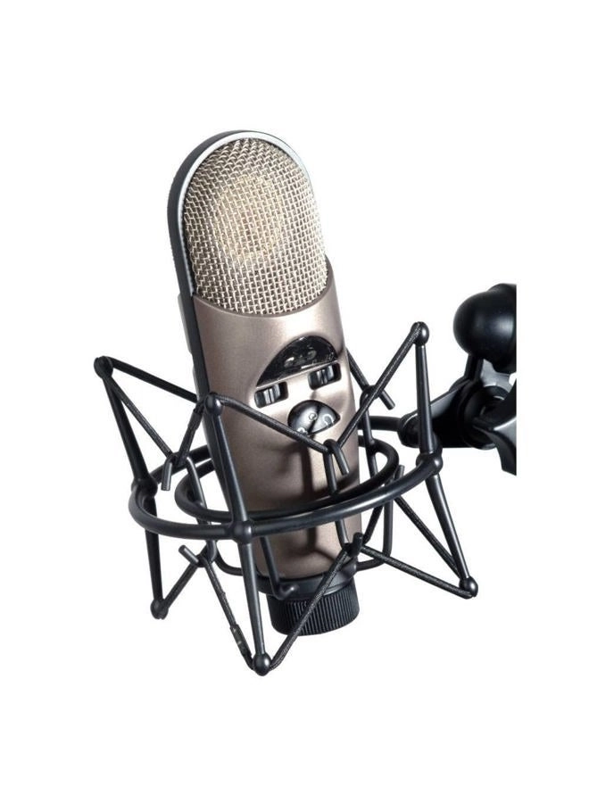 M179 XLR Microphone