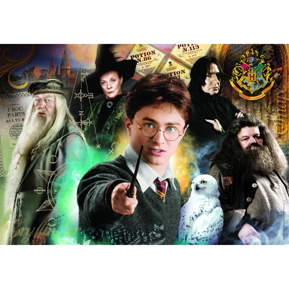 Harry Potter Puzzle And Poster (ALGT-35534) - 500 pcs