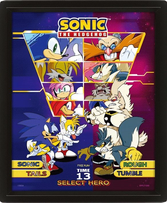 Sonic The Hedgehog - Select Your Fighter Framed 3d