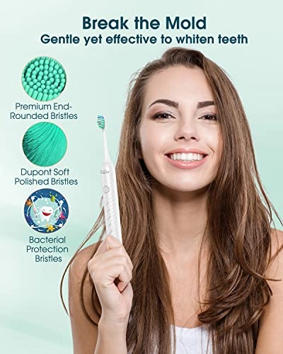 Y01 - 6 Heads 5 Modes