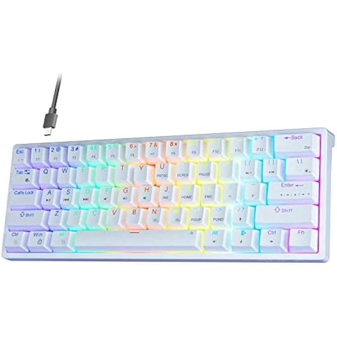 SK961 - Wired/Wireless