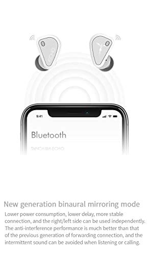 ECHO Wireless Earbud
