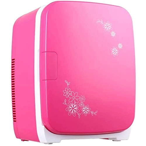 Portable Car Refrigerator - Two-purpose 12V 24V 220V