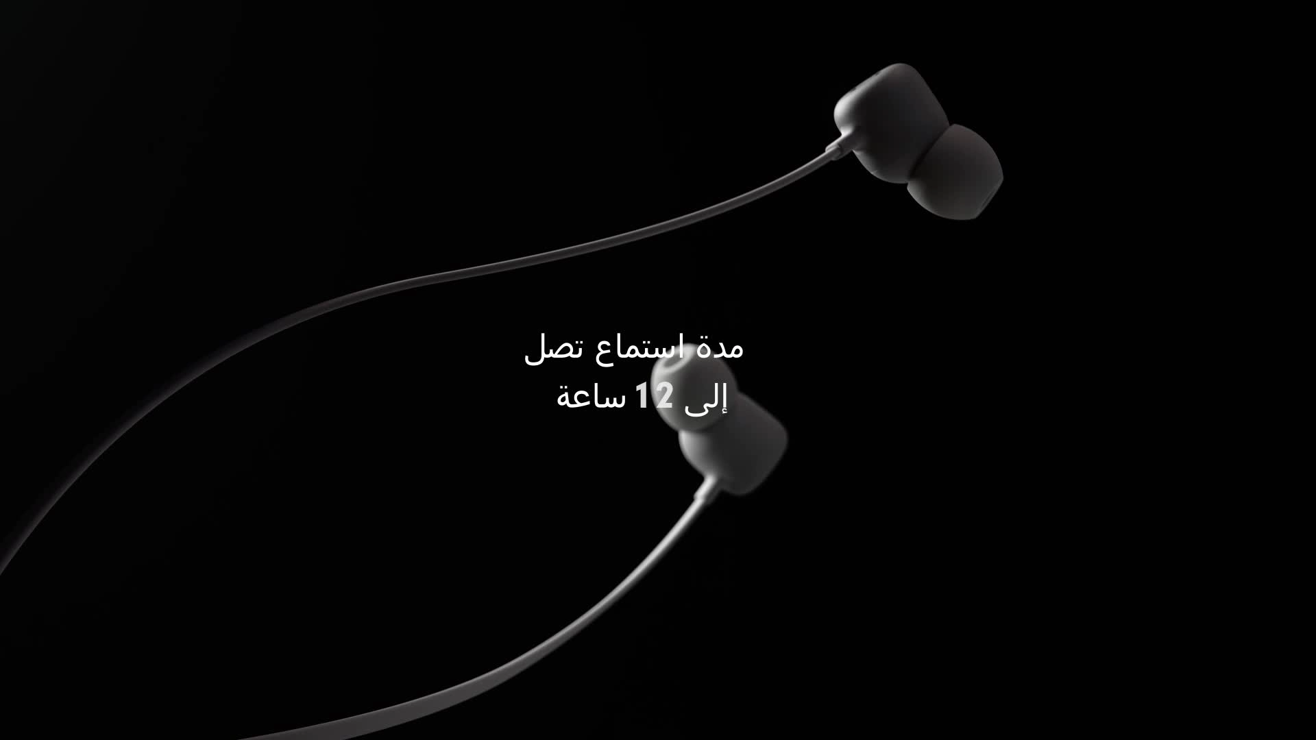 Flex Wireless Earphones