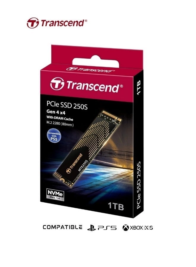 MTE250S - 1 TB M.2 2280