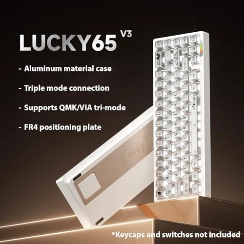 Lucky65 V3 - US Wired/Wireless