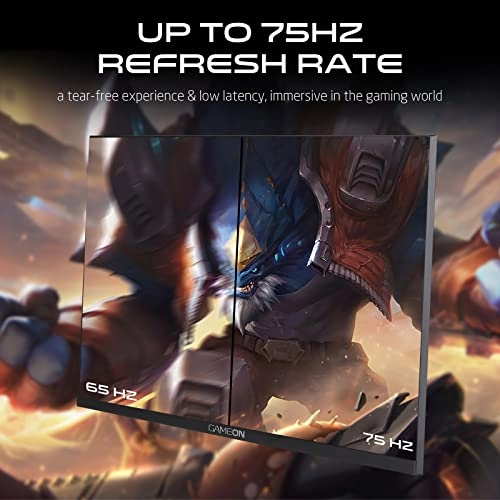 GOB24FHD75IPS - 24 inch 1920 X 1080 pixels