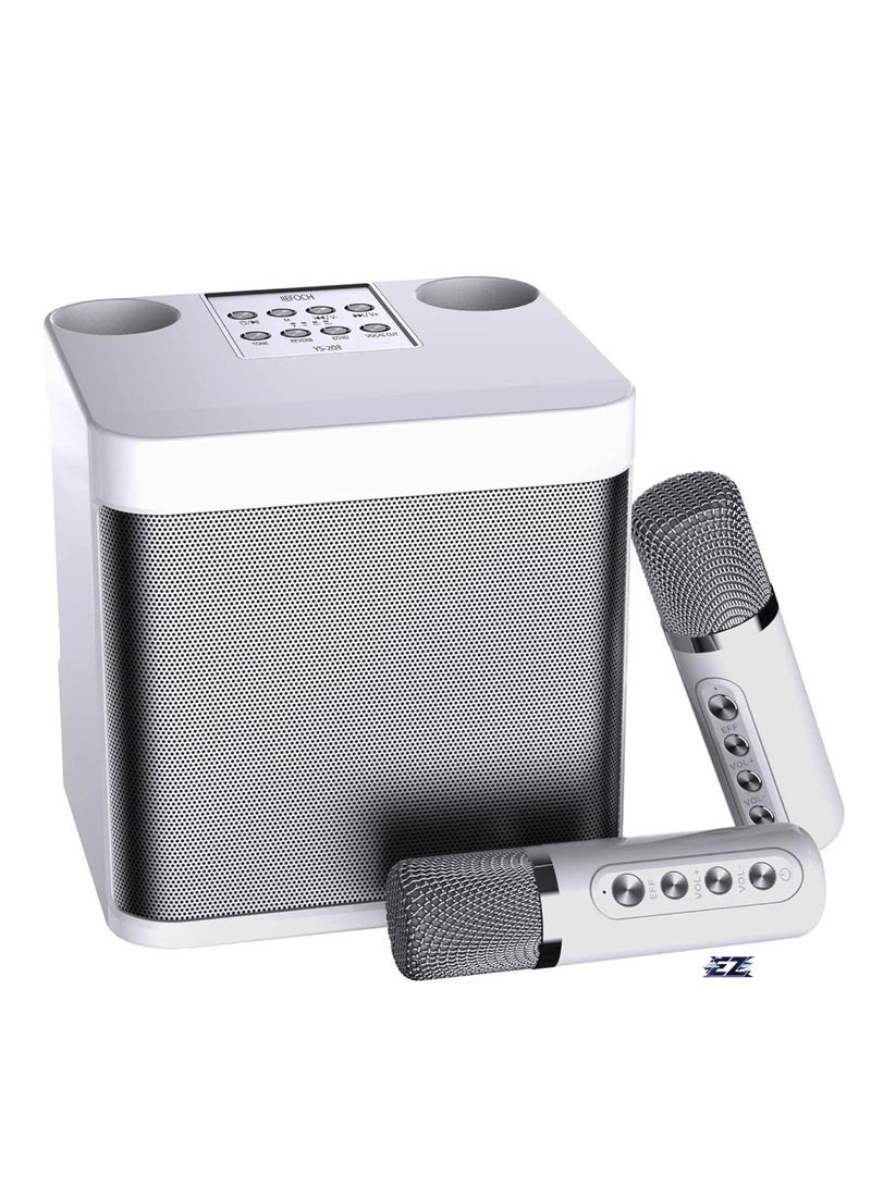 ELTRAZONE YS-203 - 2 wireless microphones