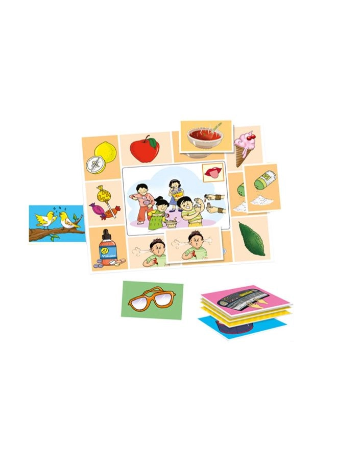 Our 5 Senses - English