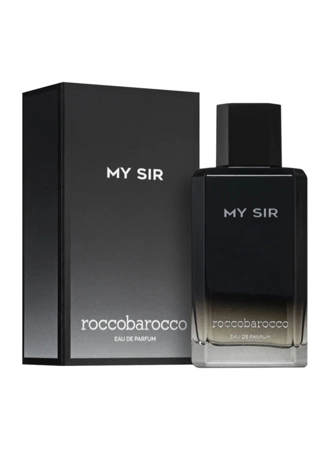 Roccobarocco My Sir M Eau de Toilette - 100 ml