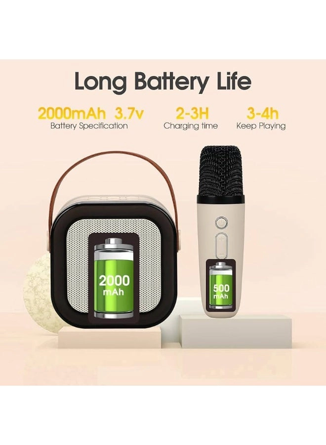 G23 - 2 Wireless Mic