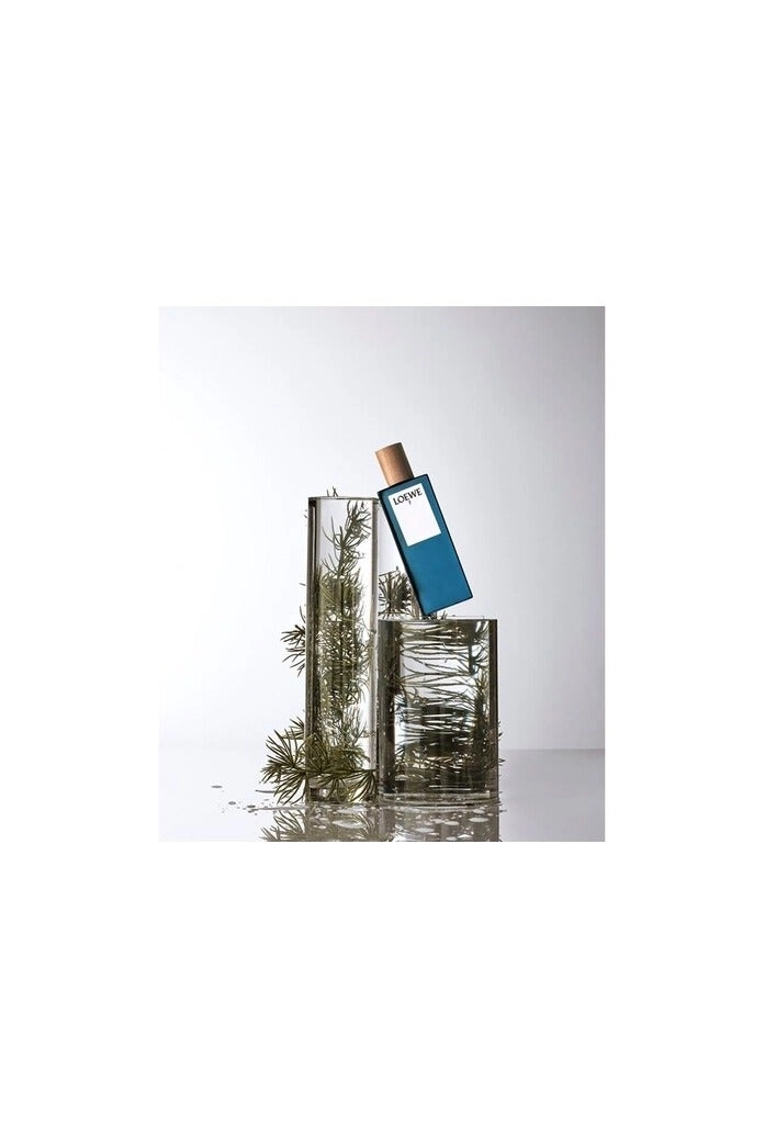 7 Eau de Toilette 50ml