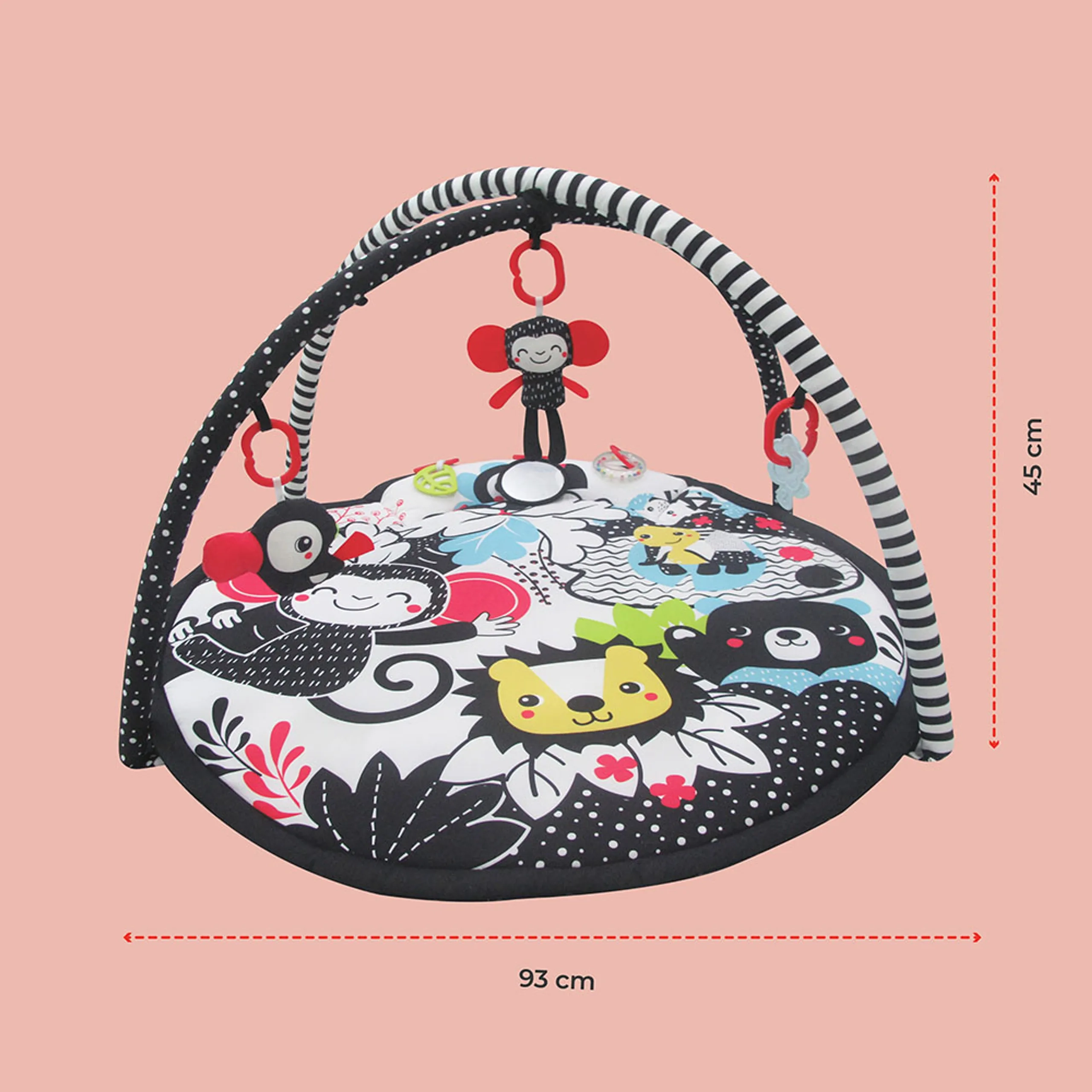 Chirpy Portable Activity Gym Play Mat - 0 months
