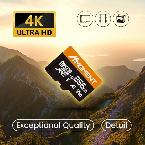 Micro SDXC Card - 256GB