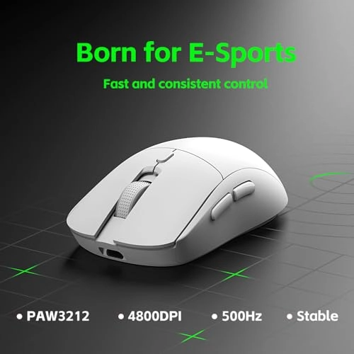 Gaming Mouse - Wireless