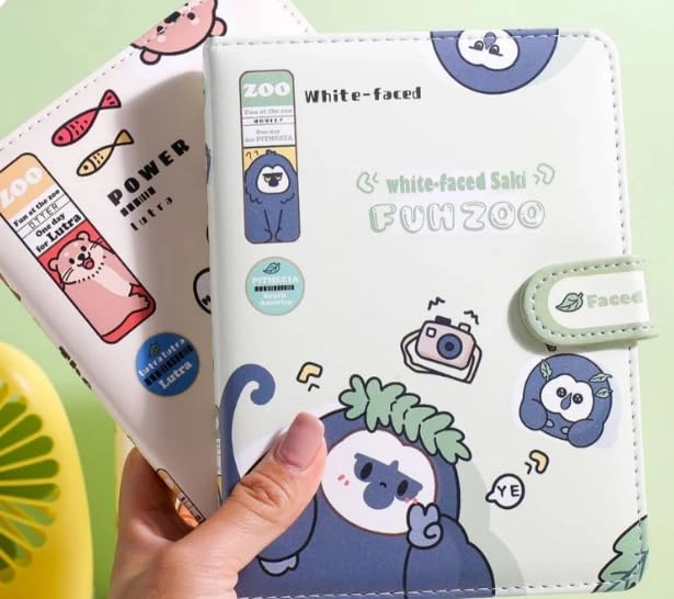 Diary for Girls