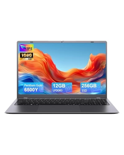 NCS154Y - 14'' 256GB 12GB Pentium Gold 6500Y