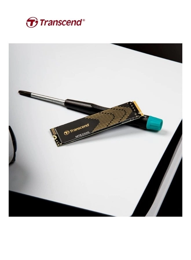 MTE250S - 1 TB M.2 2280