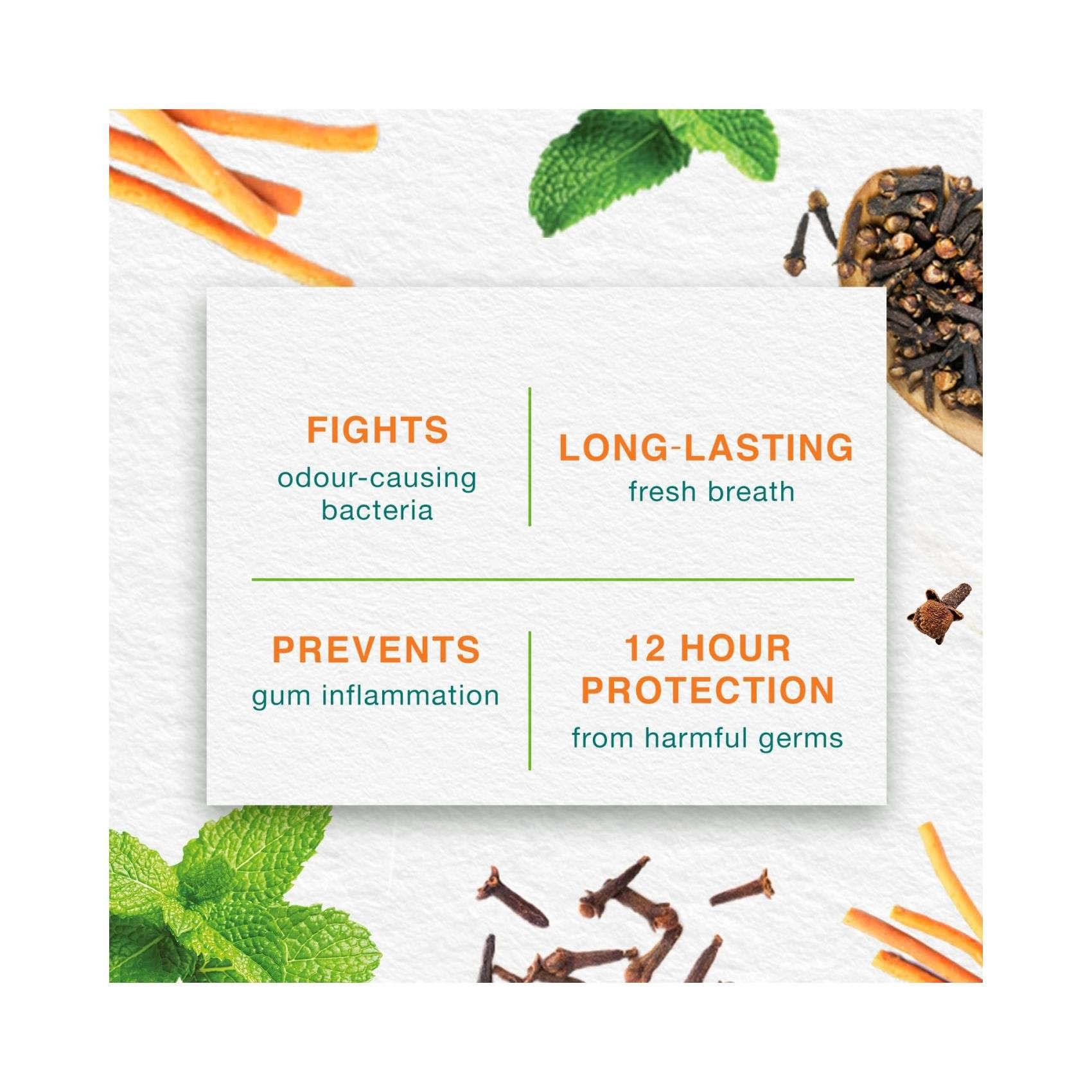 Mint Fresh Herbal Toothpaste 125g