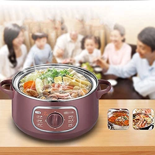 DoubleLayer Electric Food Steamer - 8L