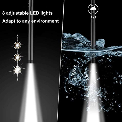 Dual Lens Inspection Camera - 3.9MM/5.5MM/8mm/14.5MM 1M/5M/10M/20M