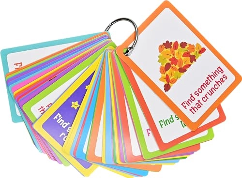 Seek-And-Find Scavenger Hunt Card Set - English Children/Juvenile