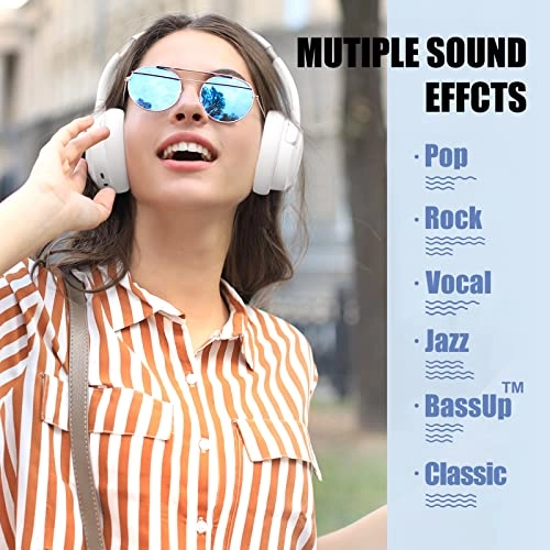 WH202A Wireless Headphone