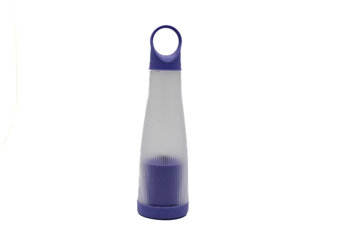 Mini Juicer - 400Ml