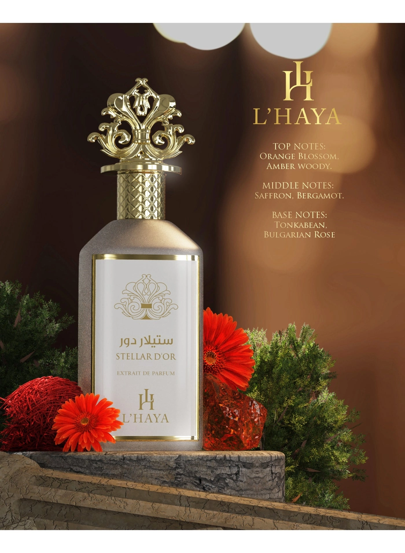 Stellar D'or - Eau de Parfum 100ml