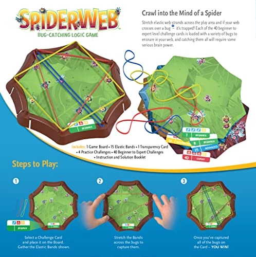 Spiderweb: A Bug Catching Logic Game