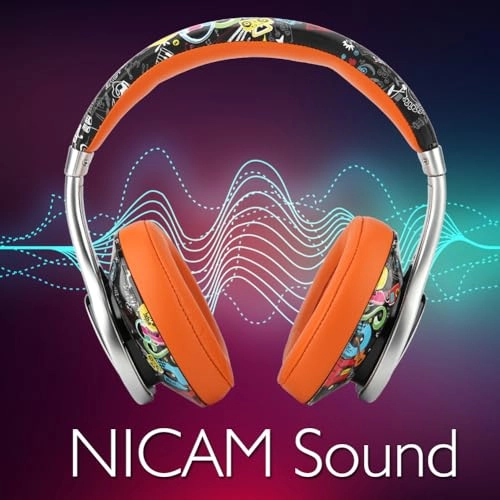 LB4-384 Wireless Headphone