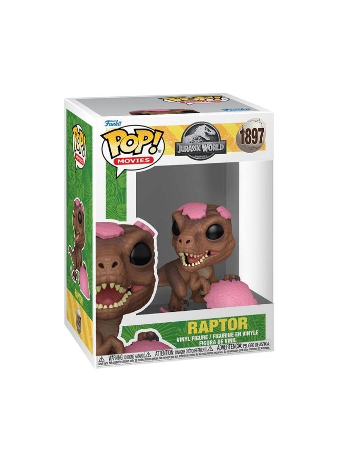 Velociraptor - Jurassic Park