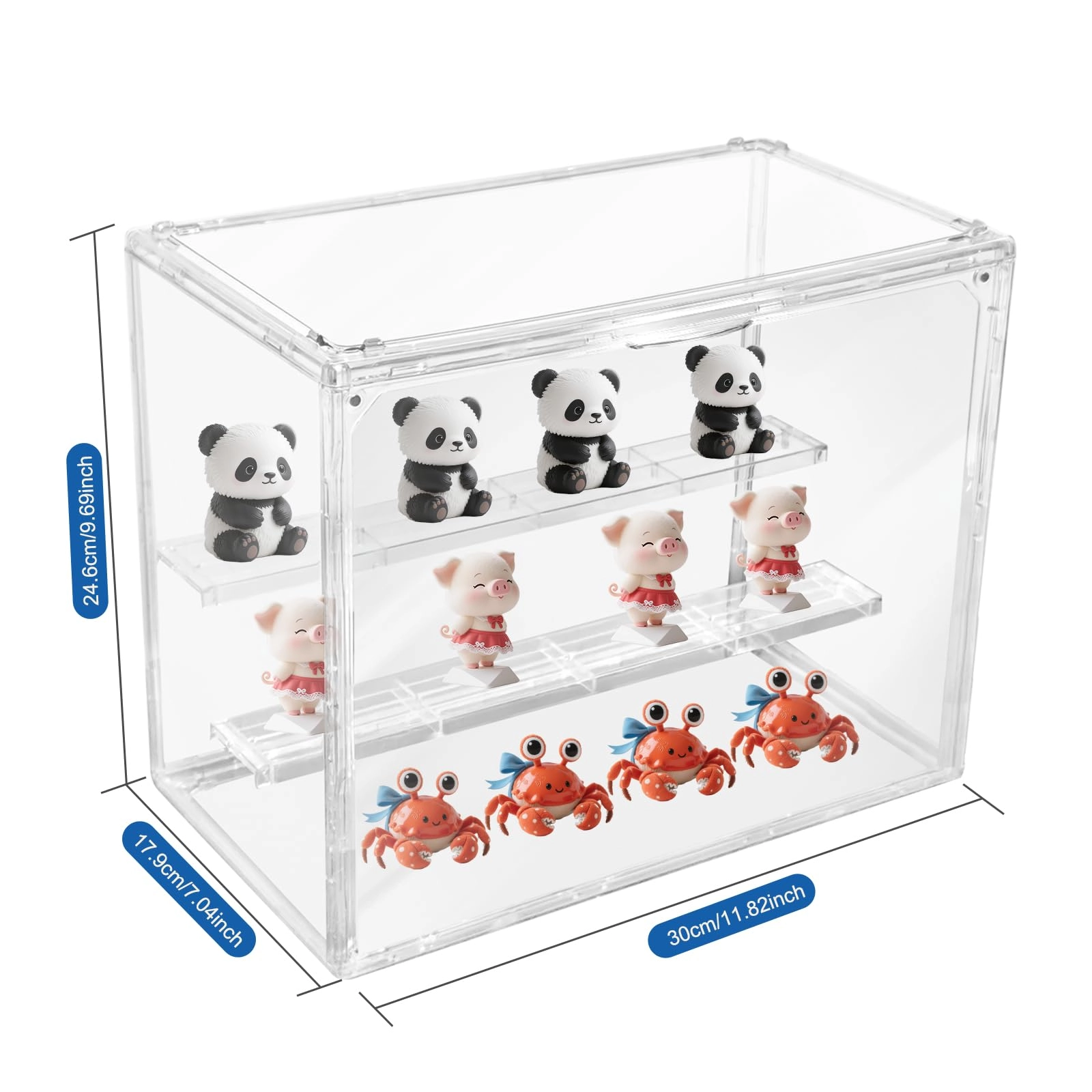 Acrylic Display Case