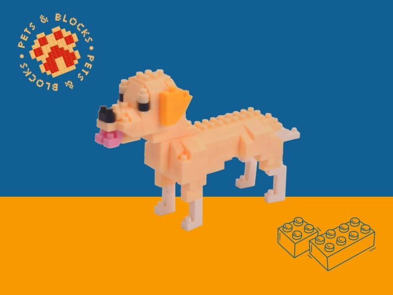 Labrador Retriever - 146 pcs