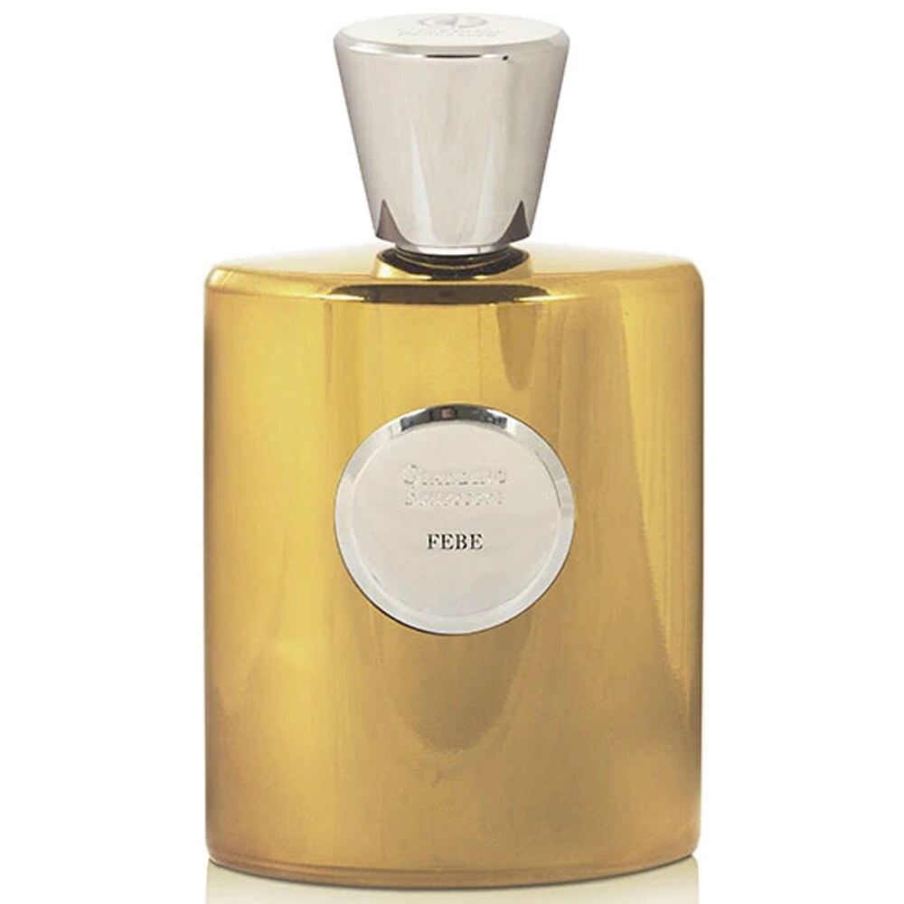 Big Brands Perfumes Febe - 100 ml