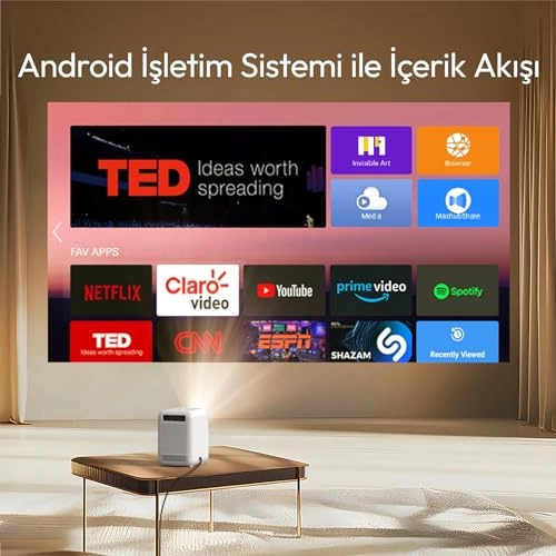 U4 300ANSI Lumen 1280 x 720 pixels