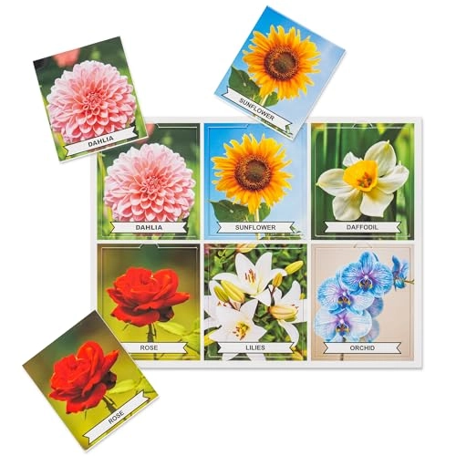 Matching Game - 37 cards 5 boards