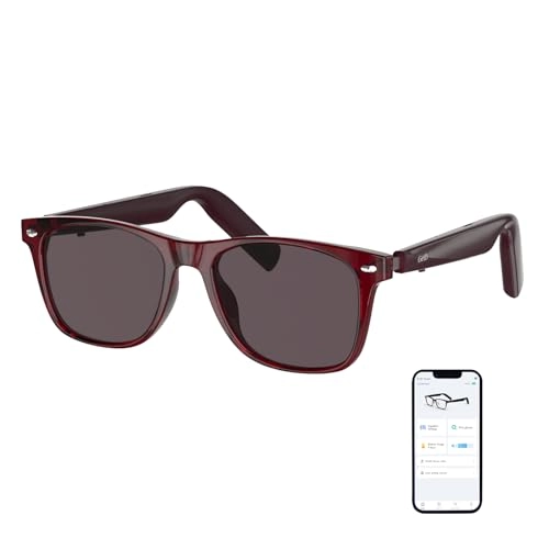 GG13 - Bluetooth AI Translator 11H Battery