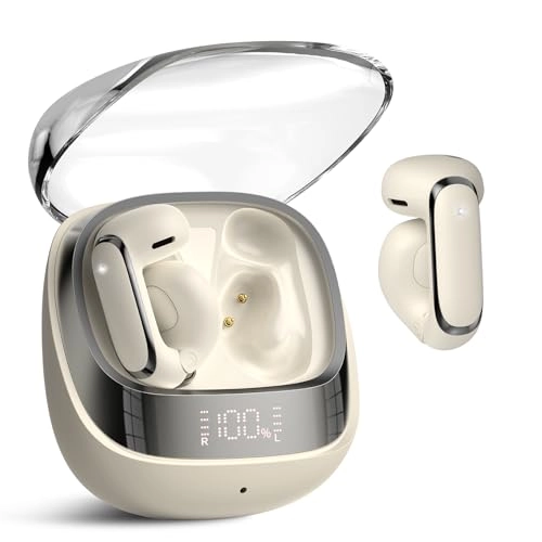 BS01 Wireless Earbud