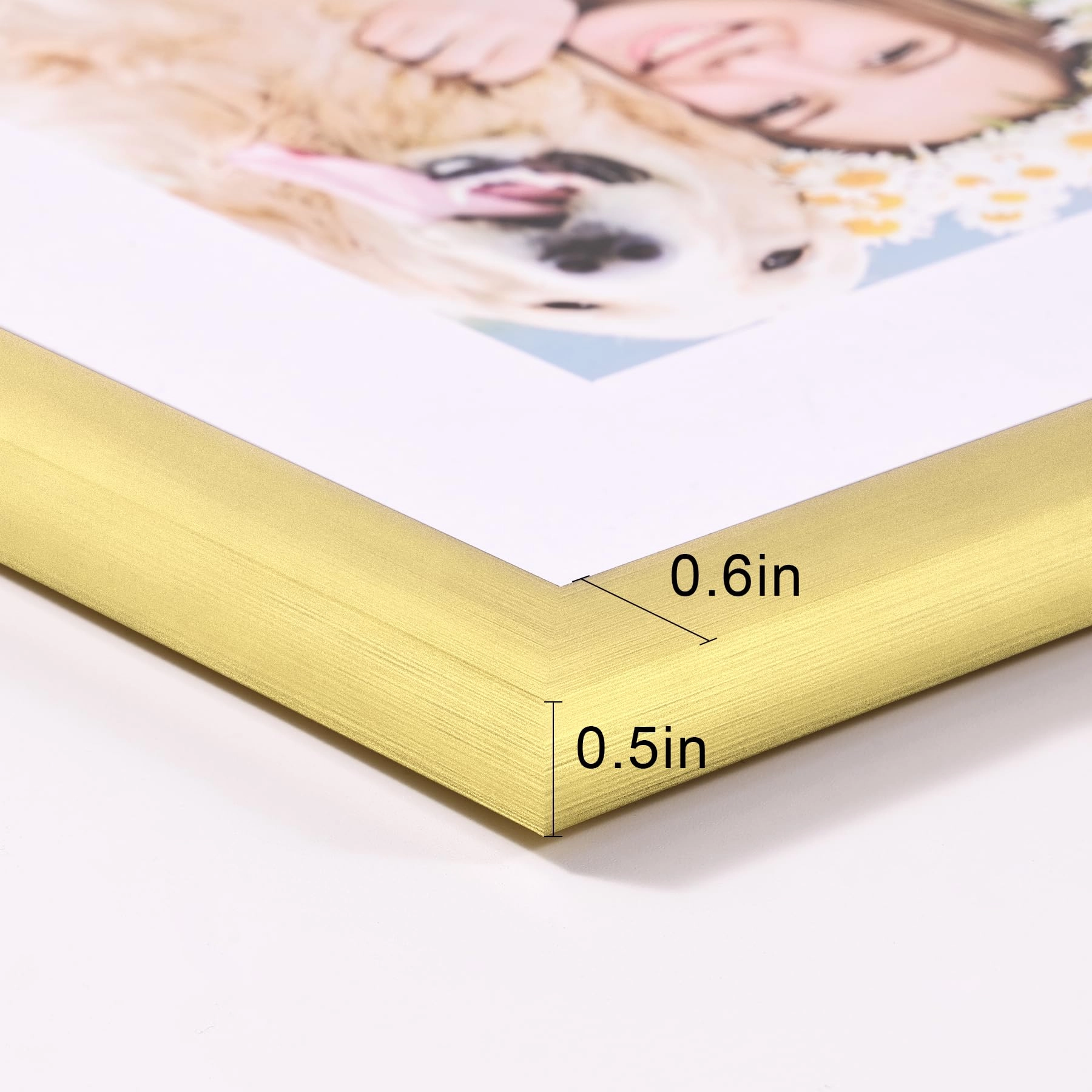 Picture Frame - 12x16