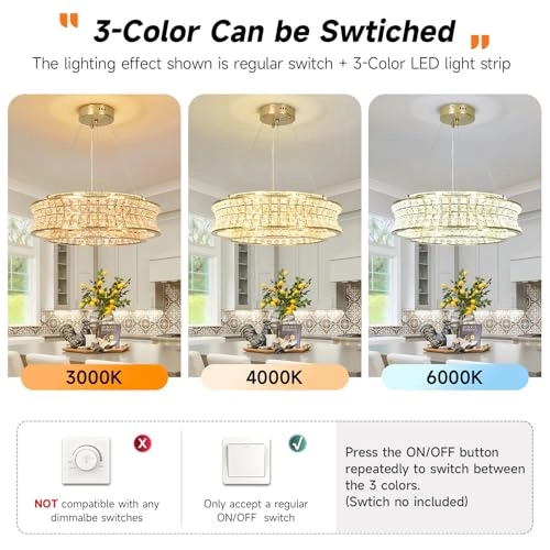 Chandelier - 20 Inch Warm White