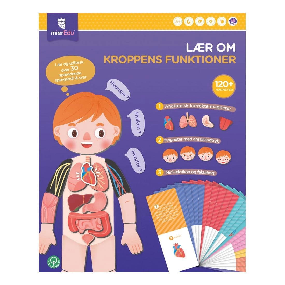 mierEdu Magnetic Learning Box