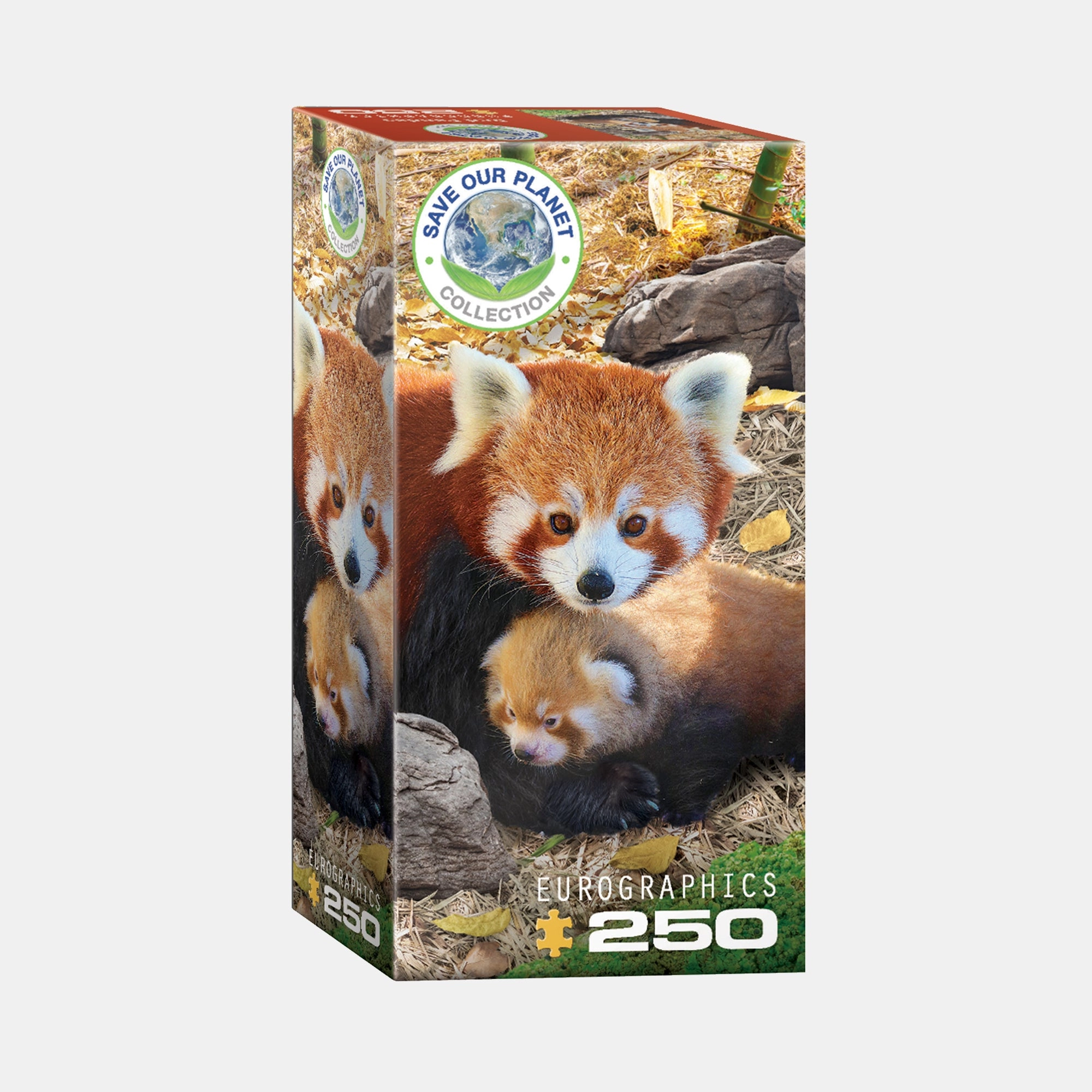 Eurographics Red Pandas Puzzle (B363931) - 250 pcs