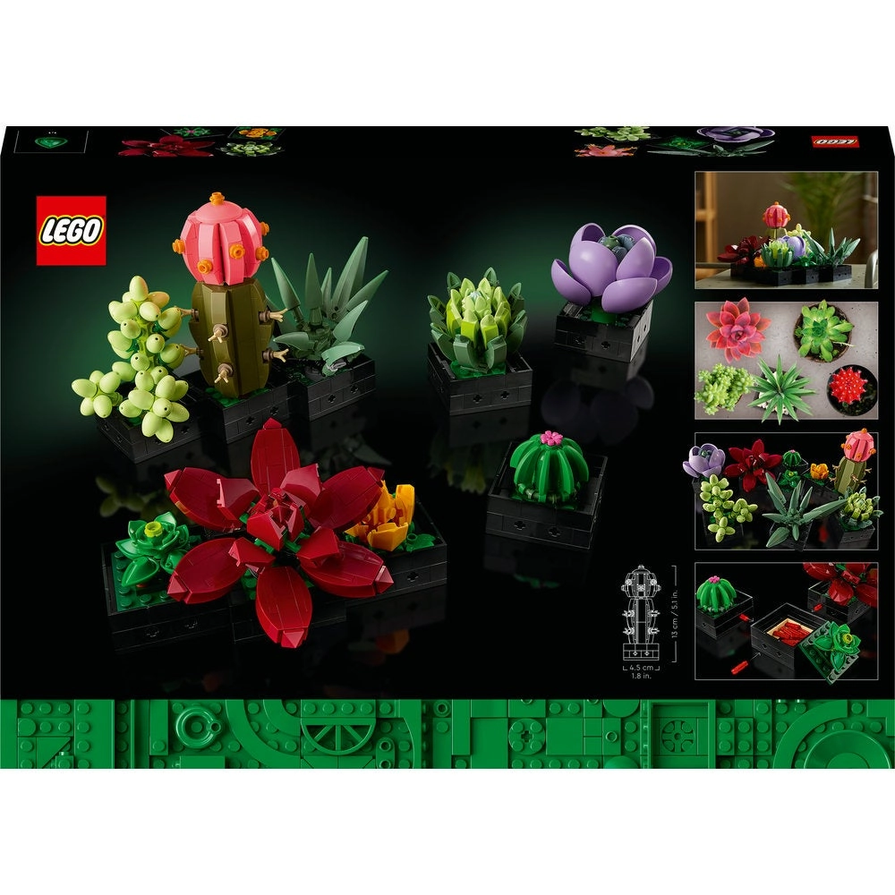 Succulents (10309) - Flowers