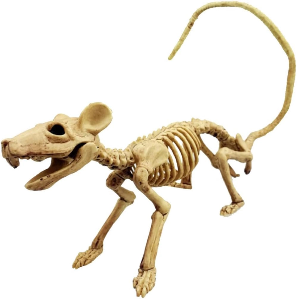 Rat Skeleton - Plastic